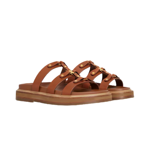 Celine Gladiator Slides | כפכפי סלין